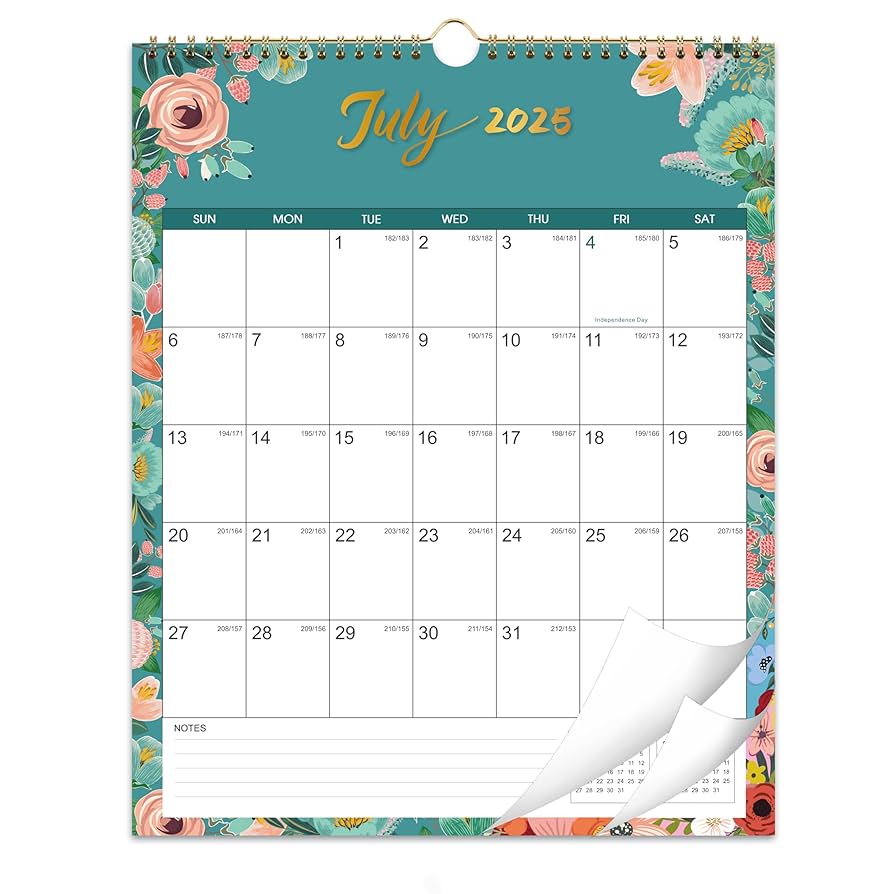 Amazon.com: 2025-2026 Wall Calendar - 2025-2026 Calendar